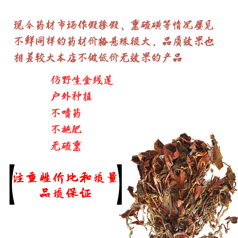 金线莲的食用