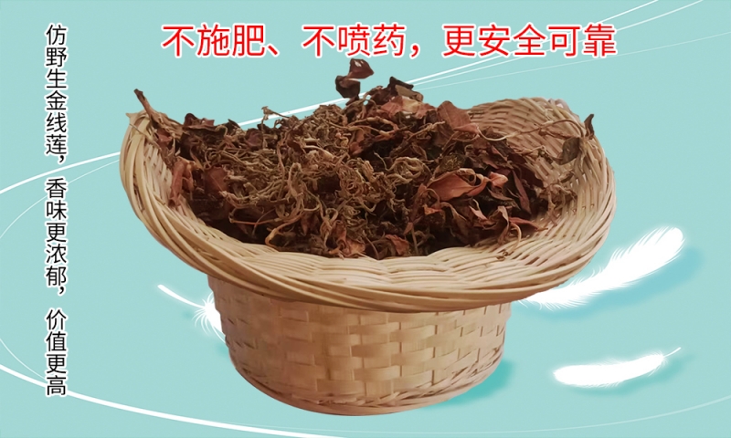 金线莲煲鸡