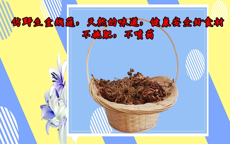 金线莲果汁